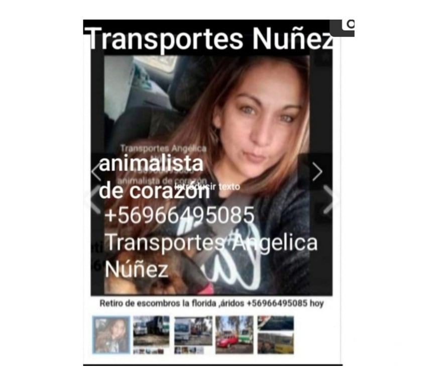 Fletes y Mudanzas - Transportes Santiago Maipú - Fotos de limpieza de terreno Maipú retiro esconbros+56950990070