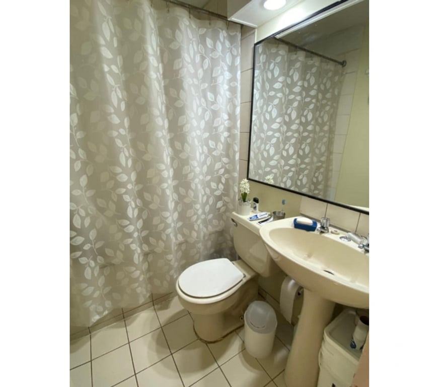 Arriendos Santiago Providencia - Fotos de Luminoso Departamento Providencia