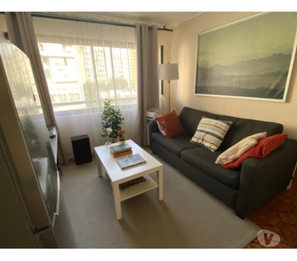 Casas y departamentos en arriendo Providencia Santiago - Fotos de Luminoso Departamento Providencia