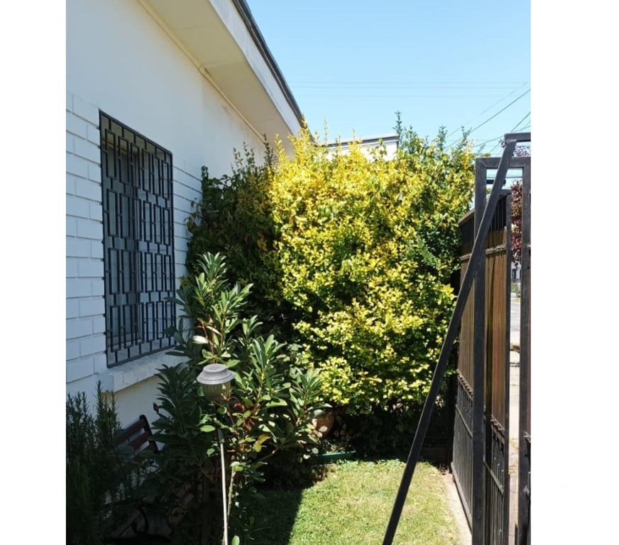 Bienes Raices Linares Linares - Fotos de SE VENDE EXCELENTE PROPIEDAD CERCANA AL CENTRO