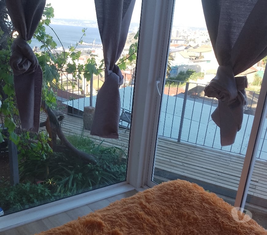 Arriendo de piezas Valparaíso Valparaíso - Fotos de Habitación luminosísima ,amplia y con hermosa vista al mar