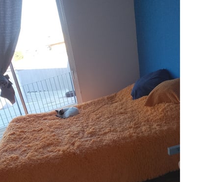 Arriendo de Piezas Valparaíso Valparaíso - Fotos de Habitación luminosísima ,amplia y con hermosa vista al mar