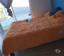 Arriendo habitación muy luminosa y con Linda vista al mar