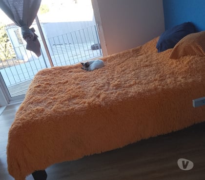 Piezas en Arriendo Valparaíso Valparaíso - Fotos de Arriendo habitación muy luminosa y con Linda vista al mar