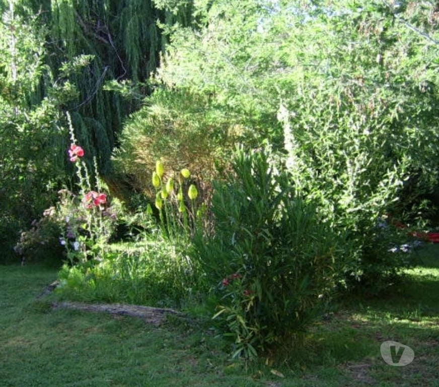 Arriendos Vacaciones Elqui Paihuano - Fotos de VALLE DEL ELQUI,ALCOHUAZ DOMOS ,PISCINA RIO