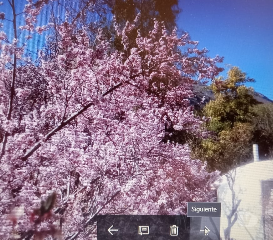 Arriendos Vacaciones Elqui Paihuano - Fotos de VALLE DEL ELQUI,ALCOHUAZ DOMOS ,PISCINA RIO