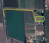 Arriendo terreno agricola