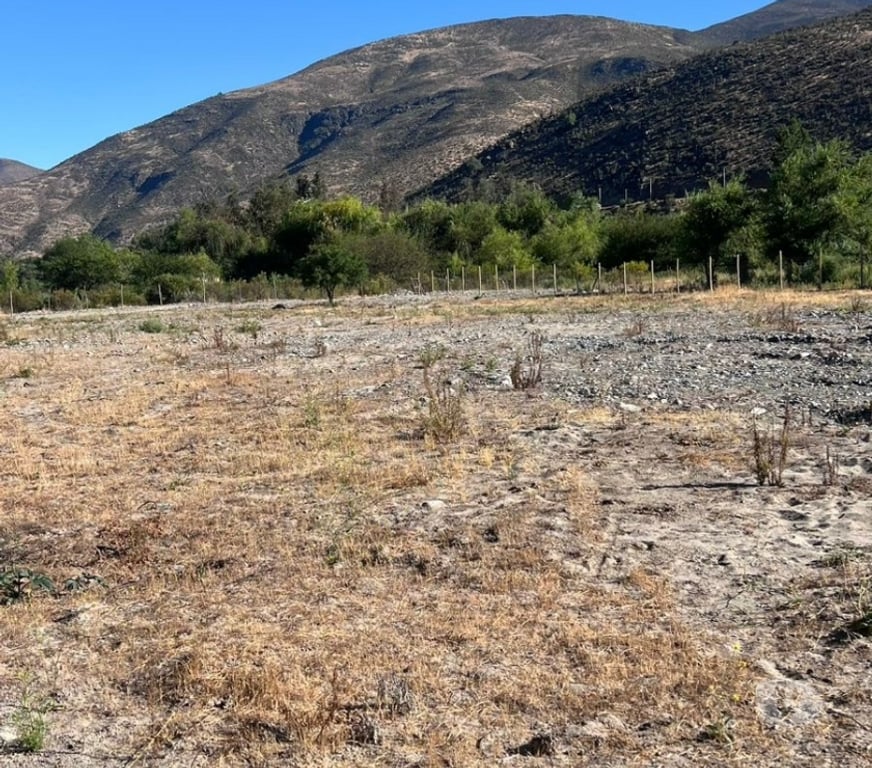 Parcelas en Venta Limarí Monte Patria - Fotos de Terreno en El Coipo - Monte Patria