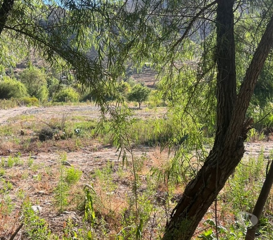 Parcelas en Venta Limarí Monte Patria - Fotos de Terreno en El Coipo - Monte Patria