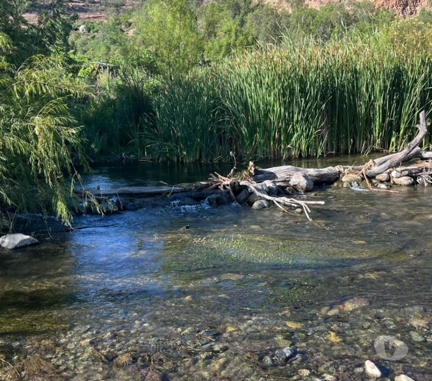 Parcelas en Venta Limarí Monte Patria - Fotos de Terreno en El Coipo - Monte Patria