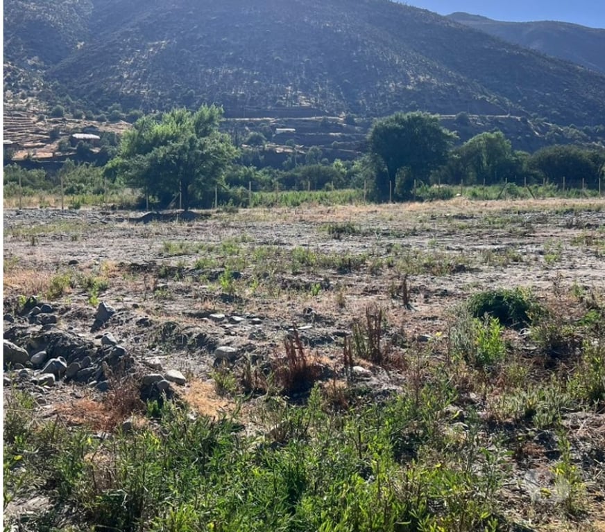 Parcelas en Venta Limarí Monte Patria - Fotos de Terreno en El Coipo - Monte Patria