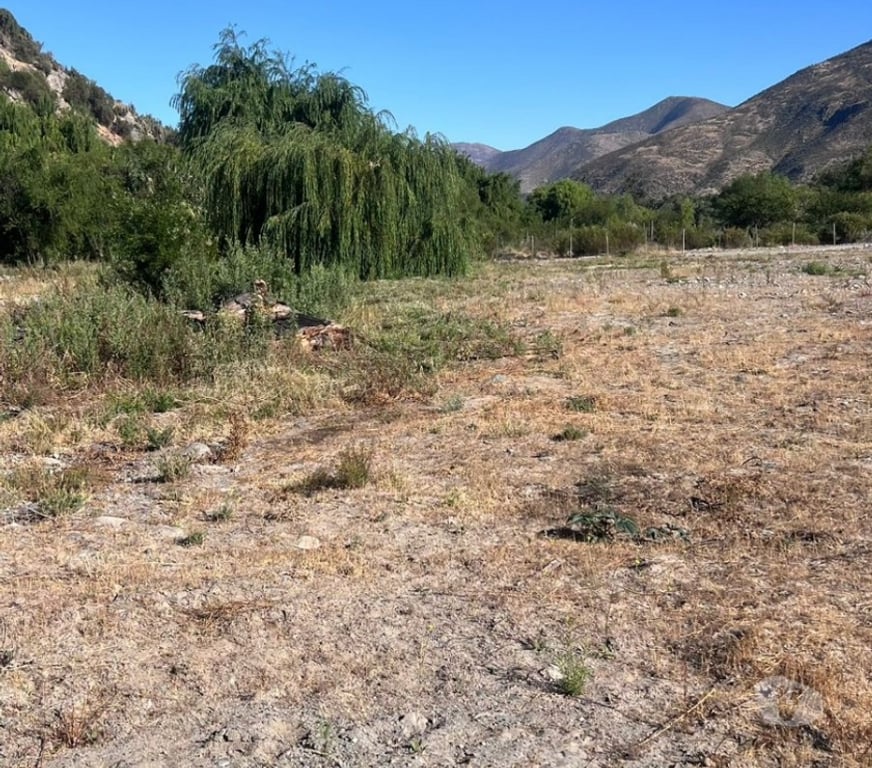 Parcelas en Venta Limarí Monte Patria - Fotos de Terreno en El Coipo - Monte Patria