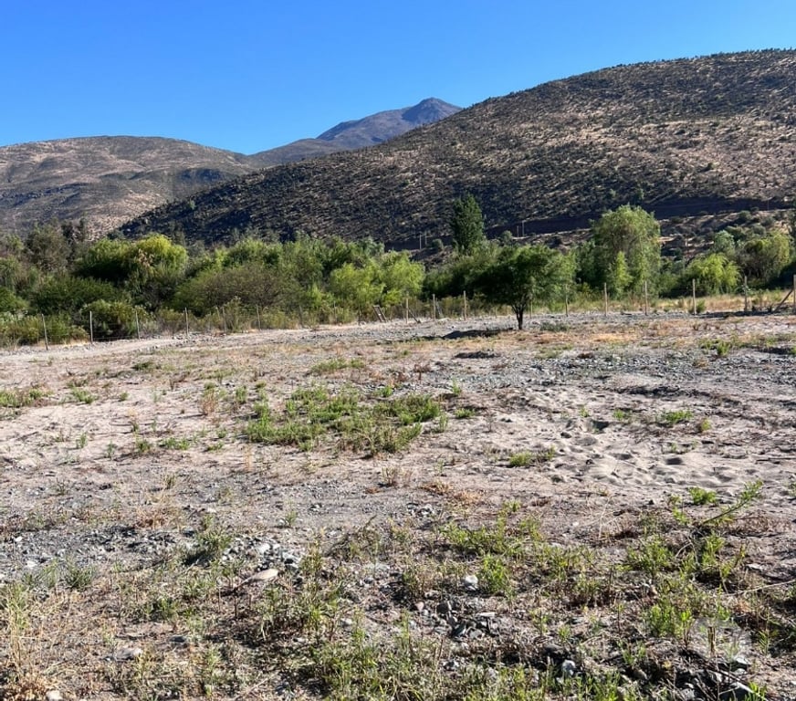 Parcelas en Venta Limarí Monte Patria - Fotos de Terreno en El Coipo - Monte Patria