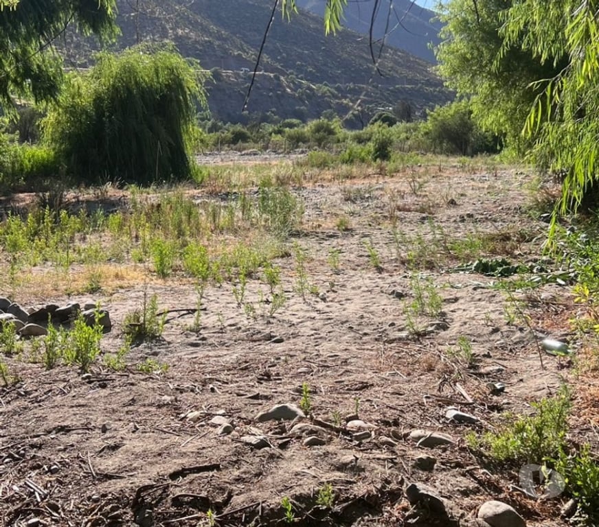 Parcelas en Venta Limarí Monte Patria - Fotos de Terreno en El Coipo - Monte Patria