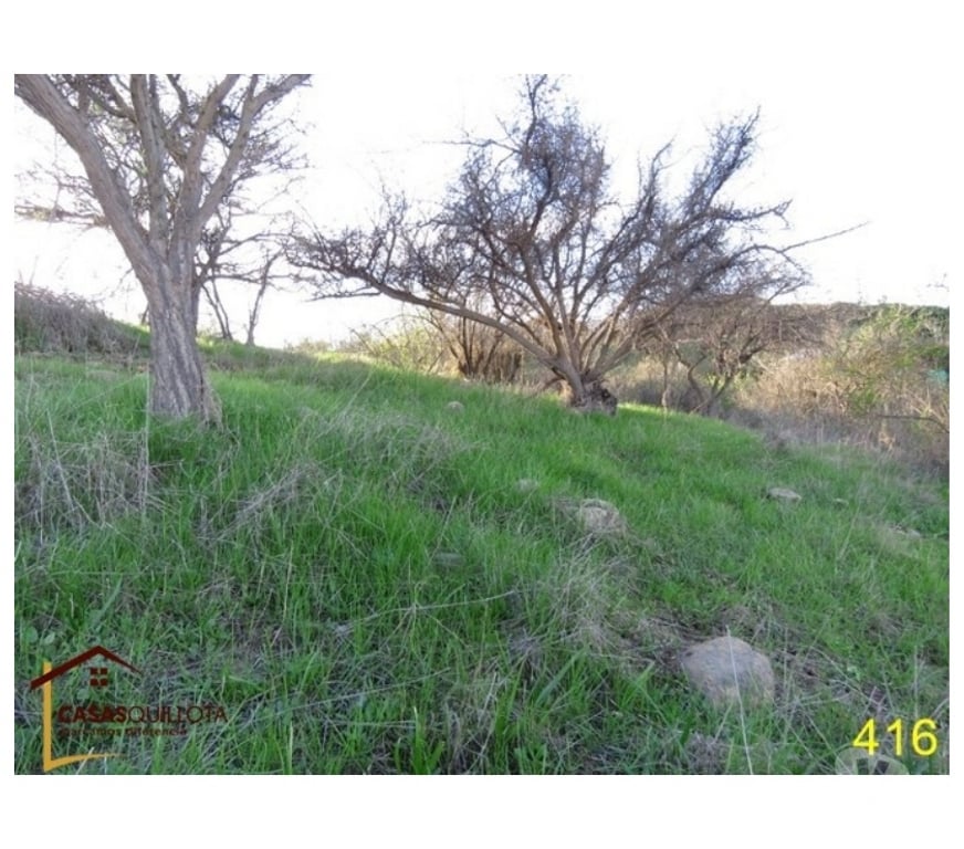 Parcelas en Venta Quillota Quillota - Fotos de Se vende, parcela en lugar tranquilo.