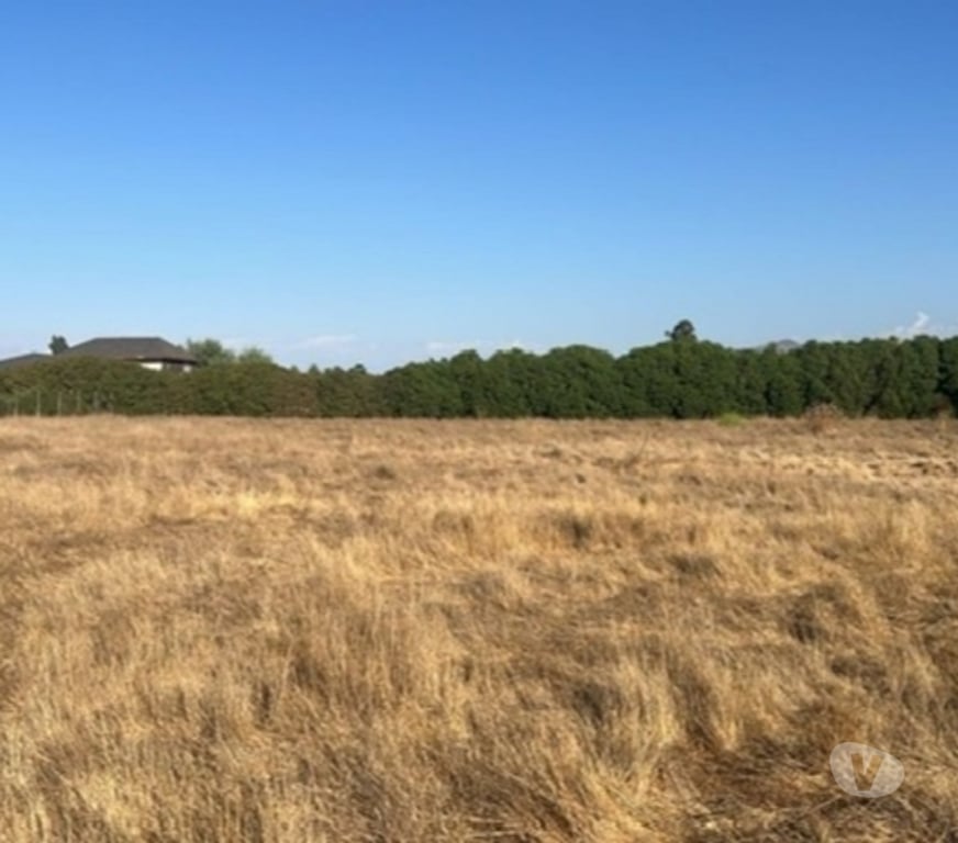 Parcelas en Venta Talagante Peñaflor - Fotos de Venta Parcela 5.000 m² Colonia Alemana