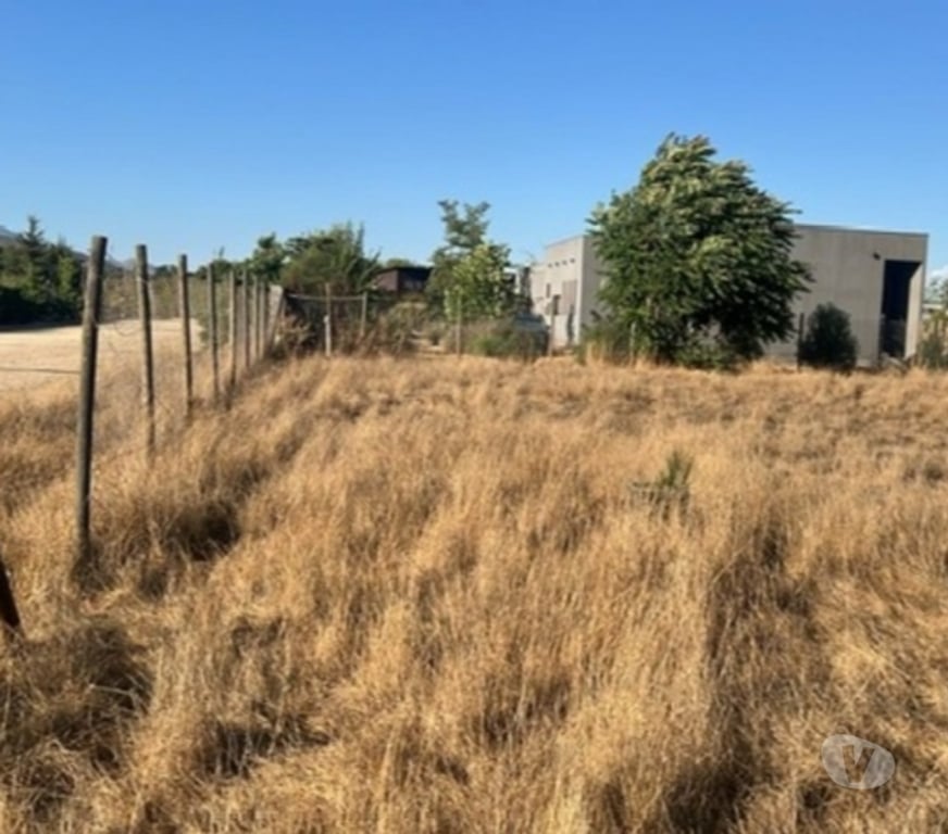 Parcelas en Venta Talagante Peñaflor - Fotos de Venta Parcela 5.000 m² Colonia Alemana