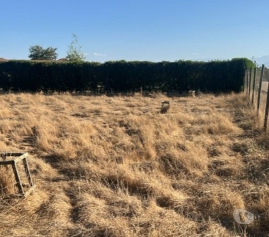 Parcelas en Venta Talagante Peñaflor - Fotos de Venta Parcela 5.000 m² Colonia Alemana