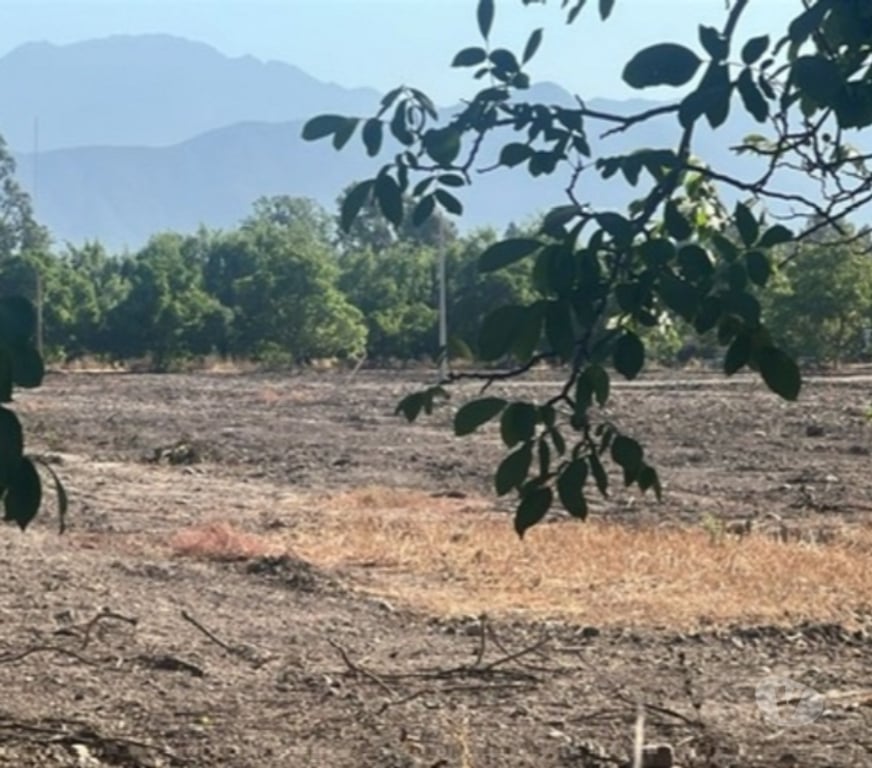 Parcelas en Venta Talagante Talagante - Fotos de Venta de Parcelas Proyecto “El Romero” – Talagante