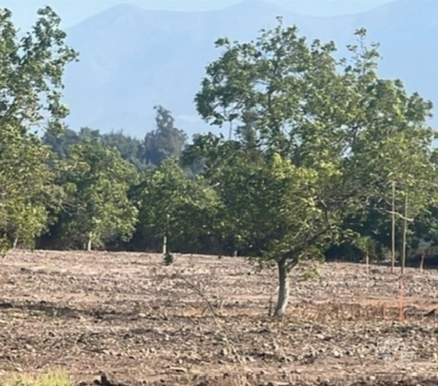 Parcelas en Venta Talagante Talagante - Fotos de Venta de Parcelas Proyecto “El Romero” – Talagante