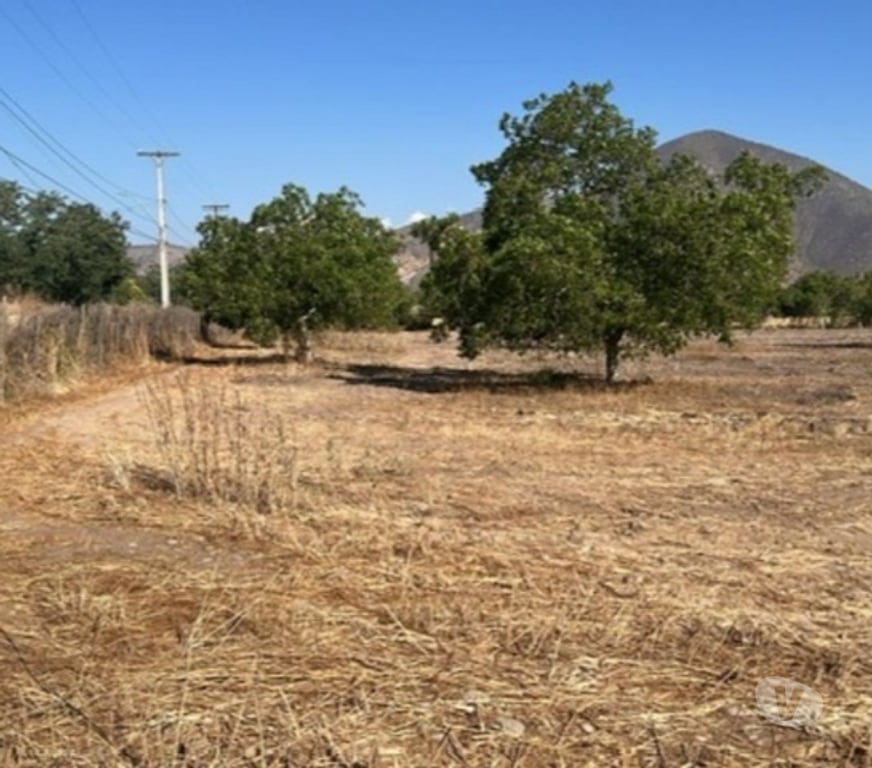 Parcelas en Venta Talagante Talagante - Fotos de Venta de Parcelas Proyecto “El Romero” – Talagante