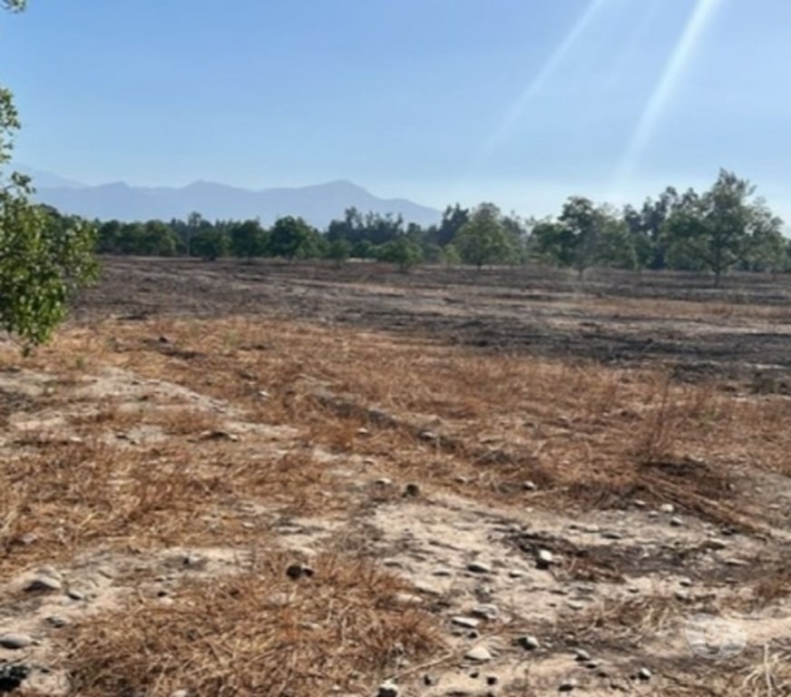 Parcelas en Venta Talagante Talagante - Fotos de Venta de Parcelas Proyecto “El Romero” – Talagante