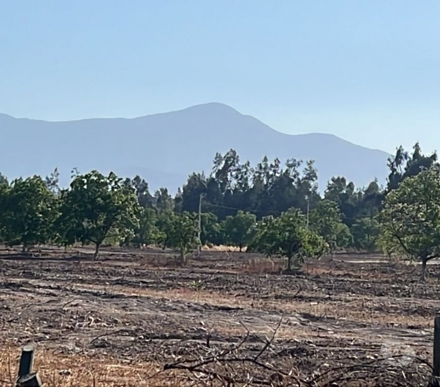 Parcelas en Venta Talagante Talagante - Fotos de Venta de Parcelas Proyecto “El Romero” – Talagante