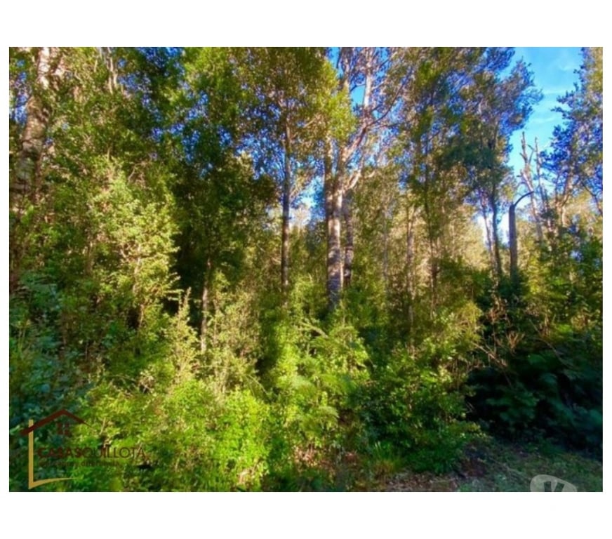 Parcelas en Venta Quillota Limache - Fotos de Se venden, Parcelas en un exclusivo condominio.