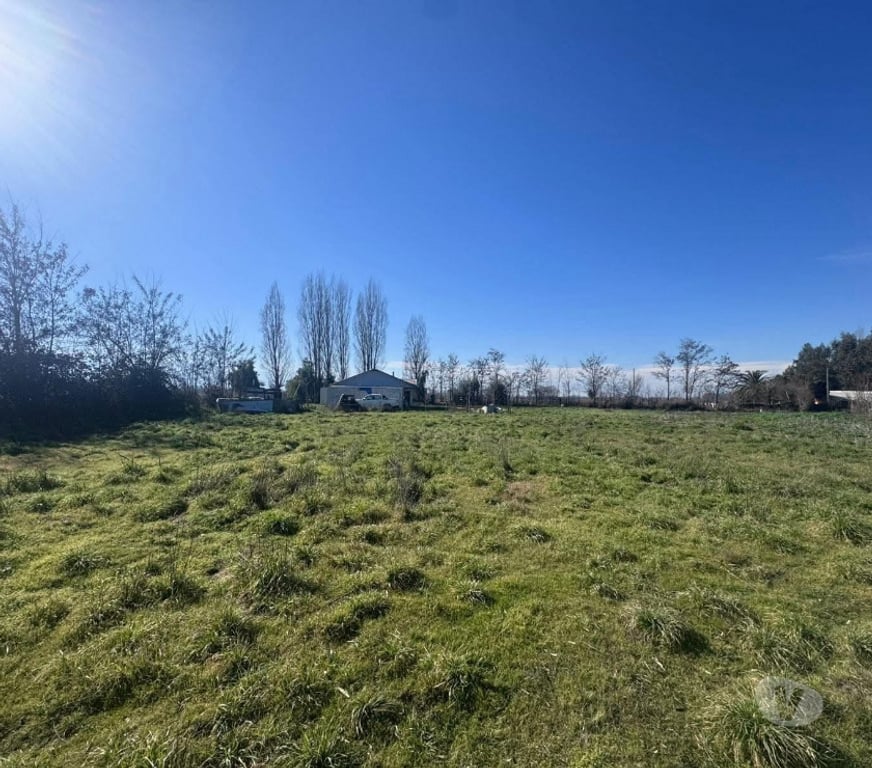 Parcelas en Venta Curicó Rauco - Fotos de VENDO BELLA PARCELA EN RAUCO CURICÓ