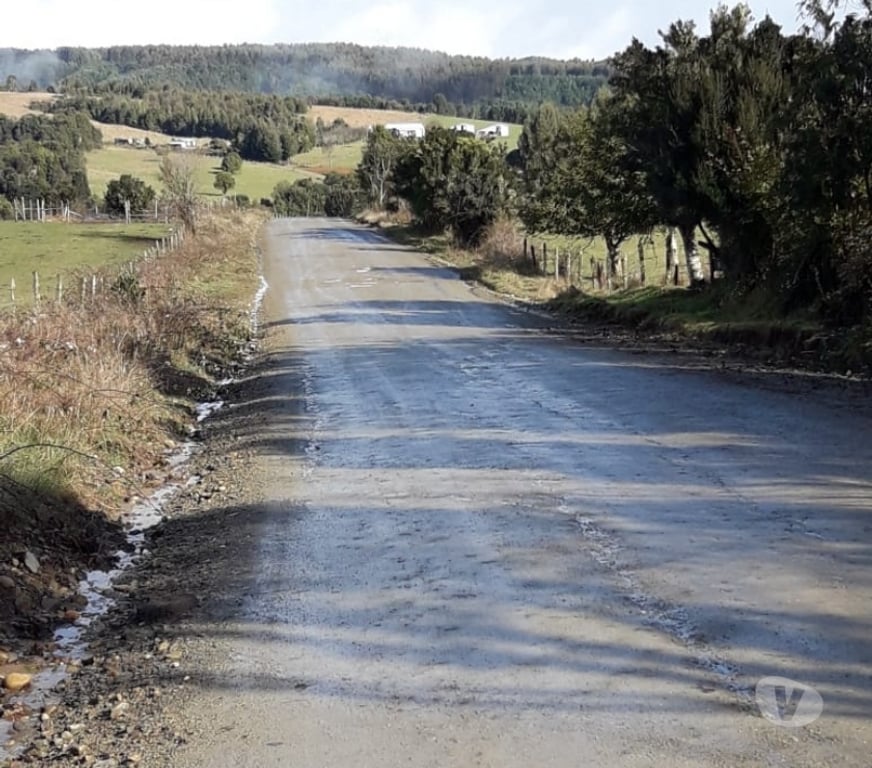 Parcelas en Venta Llanquihue Fresia - Fotos de VENTA DE 17 HECTAREAS EN FRESIA.