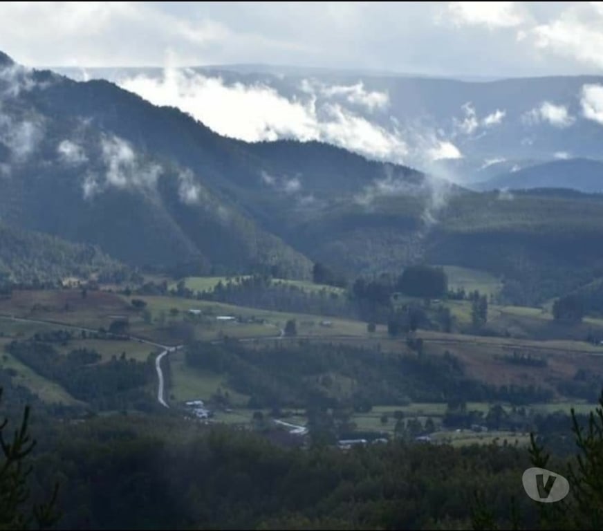 Parcelas en Venta Llanquihue Fresia - Fotos de VENTA DE 17 HECTAREAS EN FRESIA.