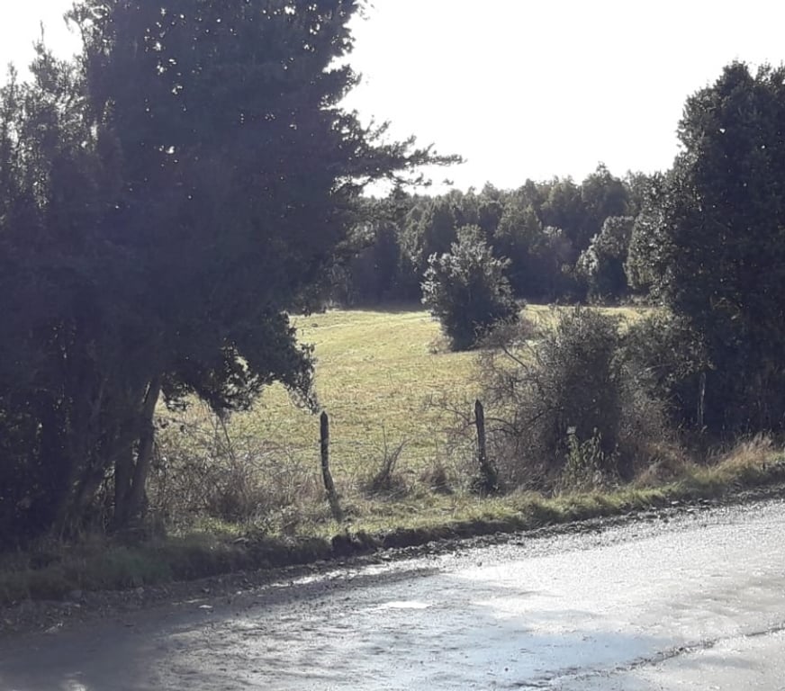Parcelas en Venta Llanquihue Fresia - Fotos de VENTA DE 17 HECTAREAS EN FRESIA.