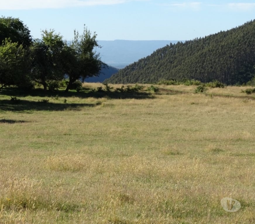 Parcelas en Venta Llanquihue Fresia - Fotos de VENTA DE 17 HECTAREAS EN FRESIA.