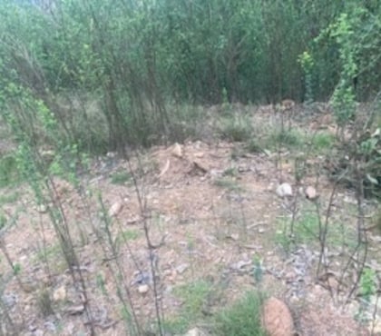 Terrenos en Venta Chiguayante Concepción - Fotos de VENDO SITIO CENTRAL COMUNA CHIGUAYANTE