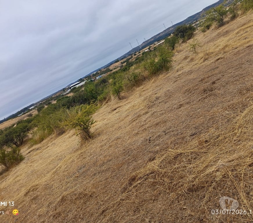 Parcelas en Venta Cardenal Caro Litueche - Fotos de Parcela 5000mts2, San Roberto, Litueche