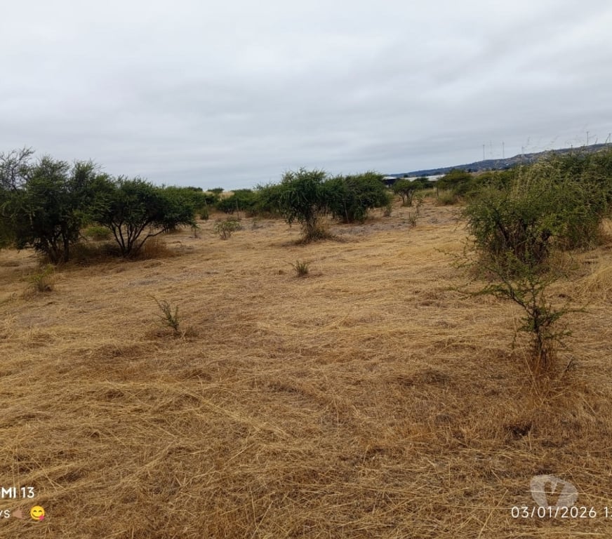 Parcelas en Venta Cardenal Caro Litueche - Fotos de Parcela 5000mts2, San Roberto, Litueche
