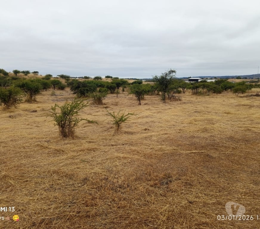 Parcelas en Venta Cardenal Caro Litueche - Fotos de Parcela 5000mts2, San Roberto, Litueche