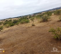 Parcela 5000mts2, San Roberto, Litueche