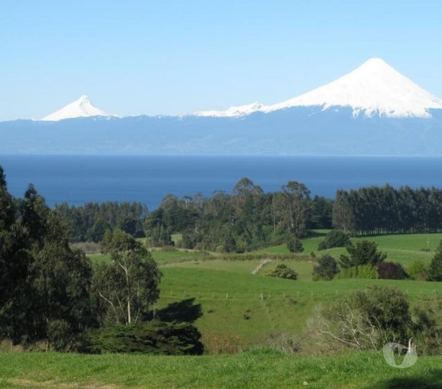 Parcelas en Venta Llanquihue Frutillar - Fotos de PARCELA 5000MTS2 FRUTILLAR. PRECIO CONVERSABLE !