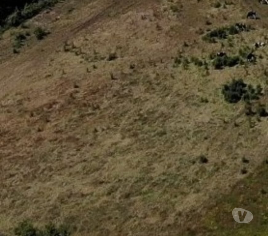 Parcelas en Venta Llanquihue Frutillar - Fotos de PARCELA 5000MTS2 FRUTILLAR. PRECIO CONVERSABLE !