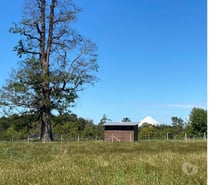 PARCELA 5000MTS2 FRUTILLAR. PRECIO CONVERSABLE !