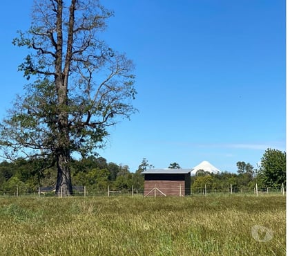 Terrenos-Parcelas Frutillar Llanquihue - Fotos de PARCELA 5000MTS2 FRUTILLAR. PRECIO CONVERSABLE !