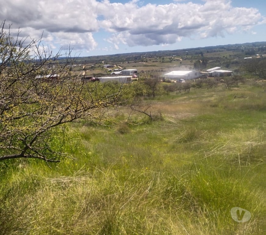 Parcelas en Venta Cardenal Caro Litueche - Fotos de PARCELA 5000MTS2 LITUECHE SOLO EFECTIVO !