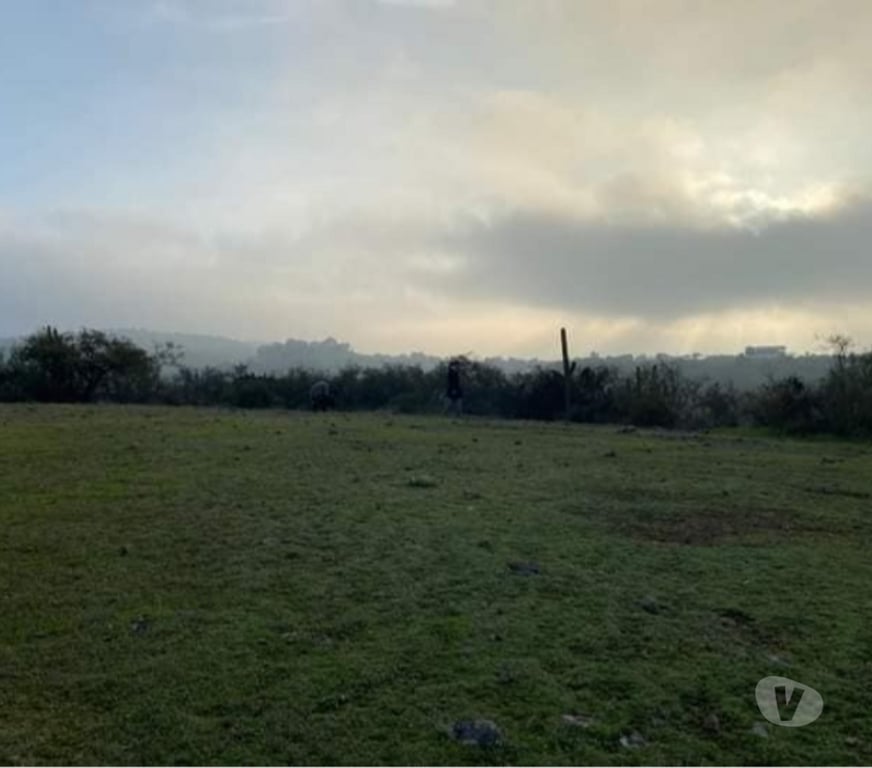 Parcelas en Venta Cardenal Caro Litueche - Fotos de PARCELA 5000MTS2 LITUECHE SOLO EFECTIVO !