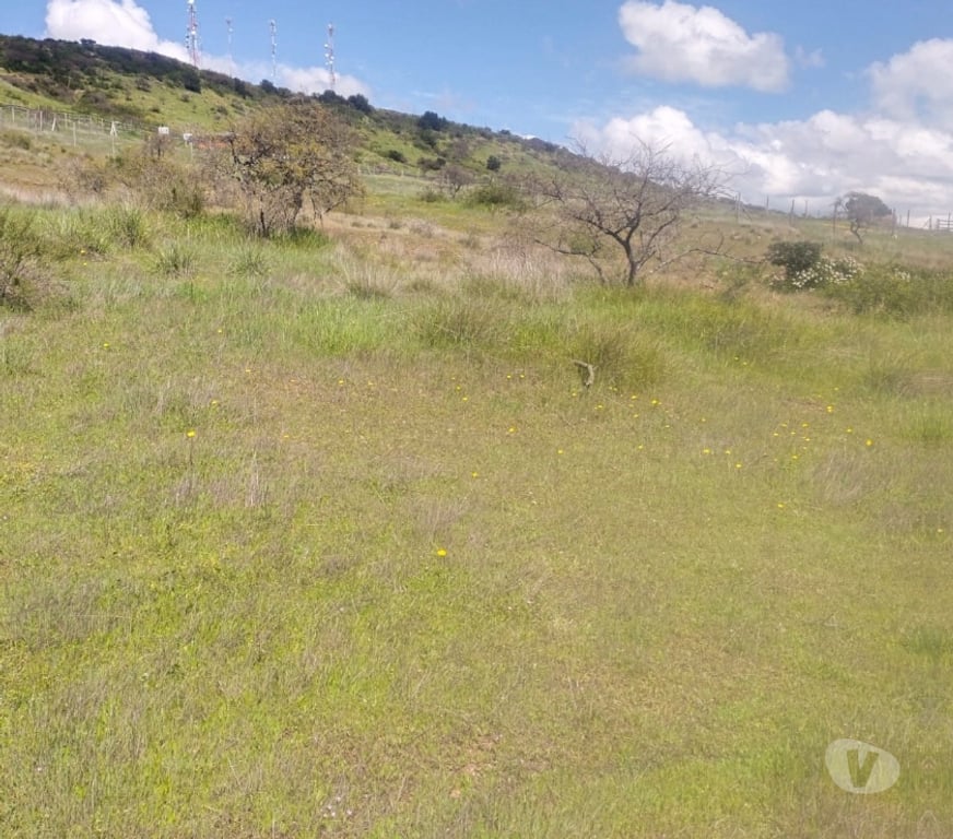 Parcelas en Venta Cardenal Caro Litueche - Fotos de PARCELA 5000MTS2 LITUECHE SOLO EFECTIVO !