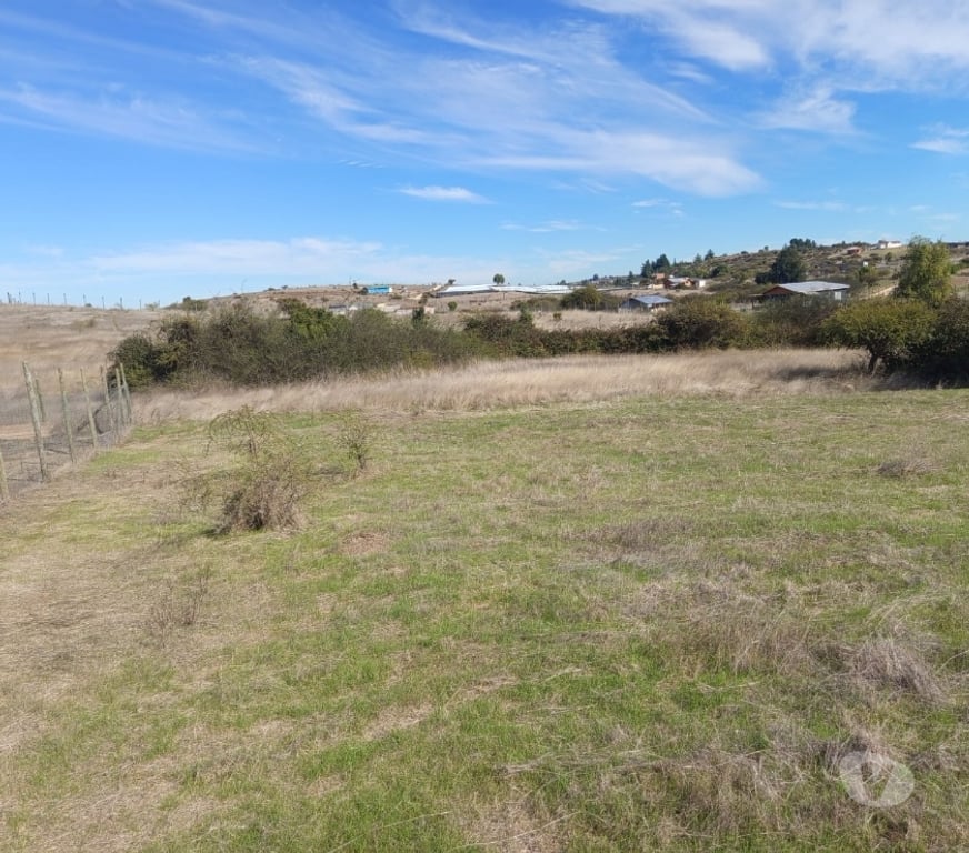 Parcelas en Venta Cardenal Caro Litueche - Fotos de PARCELA 5000 MTS2 LITUECHE SOLO EFECTIVO !