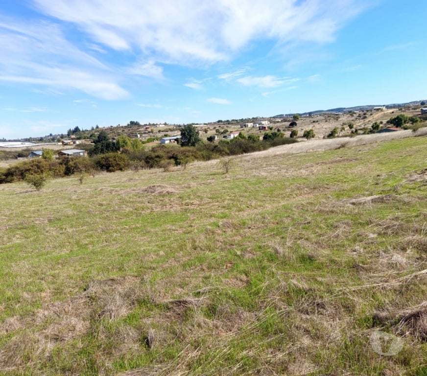 Parcelas en Venta Cardenal Caro Litueche - Fotos de PARCELA 5000 MTS2 LITUECHE SOLO EFECTIVO !