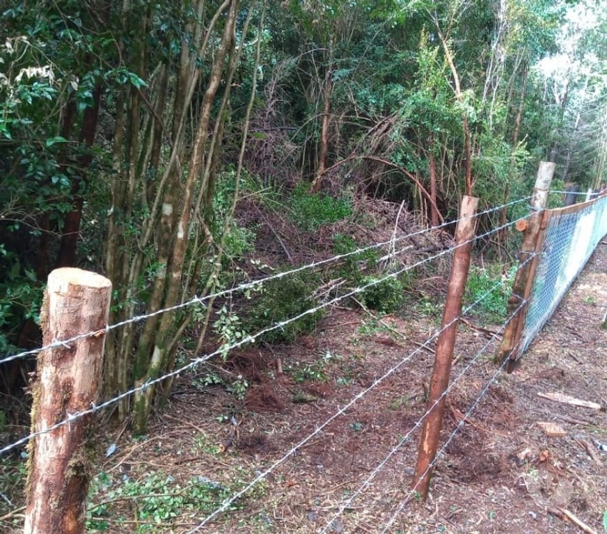 Parcelas en Venta Chiloé Quemchi - Fotos de PARCELA 5000 MTS2 QUEMCHI , CHILOE SOLO EFECTIVO!