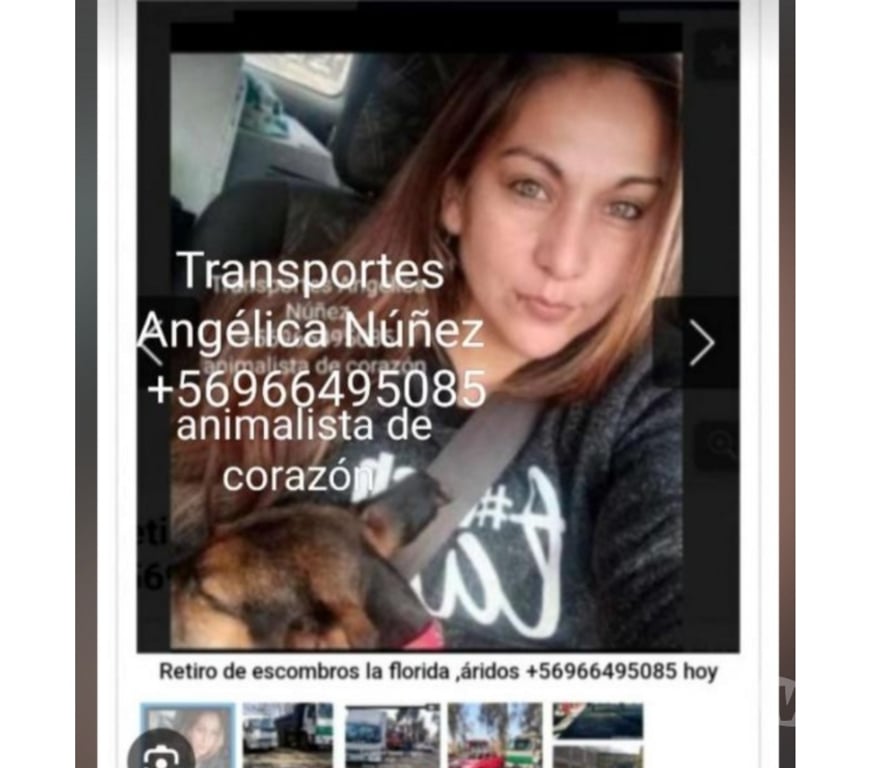 Fletes y Mudanzas - Transportes Santiago Vitacura - Fotos de servicio de retiro de escombro Vitacura fletes+56973677079