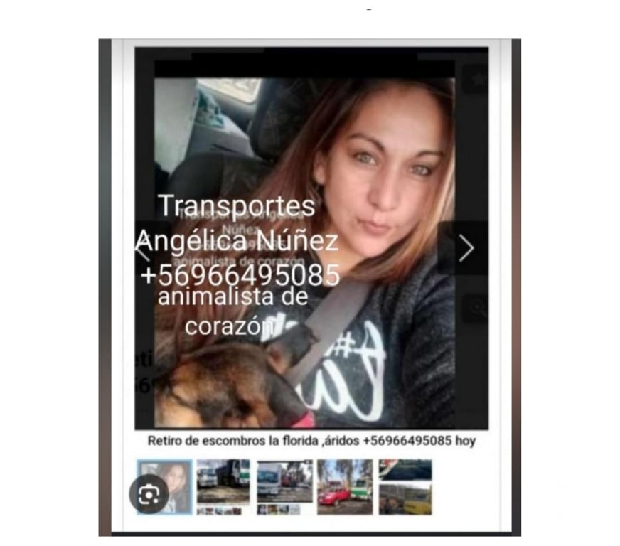 Fletes y Mudanzas - Transportes Santiago Huechuraba - Fotos de fletes en Huechuraba retiro de escombro +56973677079